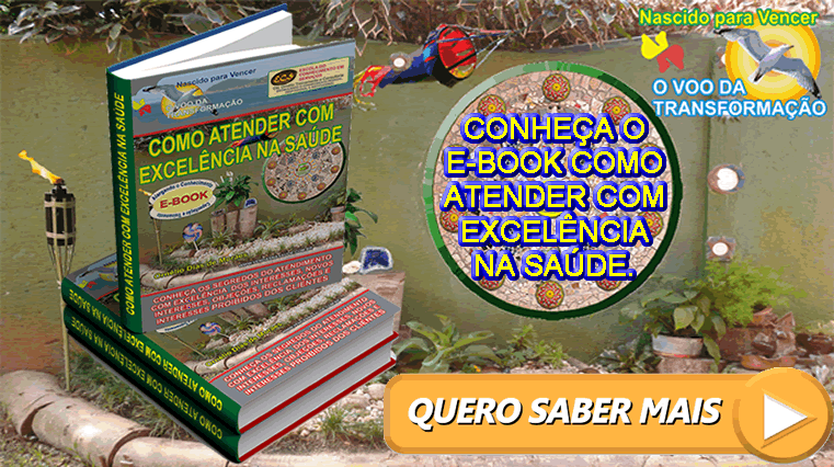 E-book como atender com excelencia67